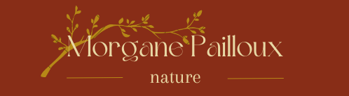 morganepaillouxnature.com